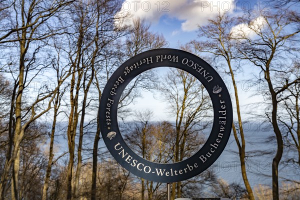Round sign UNESCO World Heritage Beech Forests on the Baltic Sea coast in Jasmund National Park, Ruegen Island, Mecklenburg-Western Pomerania, Germany, Europe