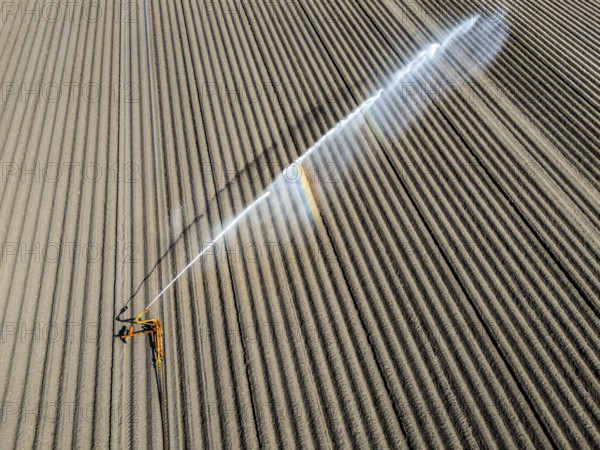 Artificial irrigation of a potato field in April, with a sprinkler system, long drought in spring makes this necessary, for the total of 7.5 hectares 3 full days are needed to get the necessary moisture for the freshly sown potato plants, south of Straelen, Lower Rhine, North Rhine-Westphalia, Germany, Europe