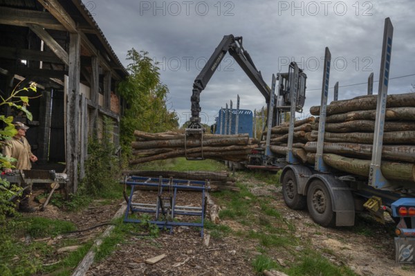 Unloading logs from a log transporter, Othenstorf Estate, Mecklenburg-Western Pomerania, Germany, Europe