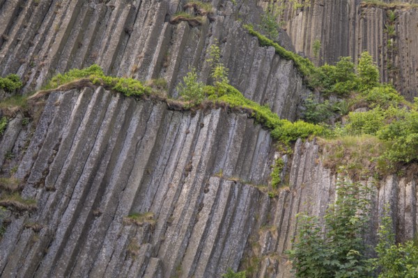 Panska skala, (Mansion/Manor Rock) also called the Varhany (Organ) is an unobtrusive hillock close to Prachen, Bohemia, Czech Republic, Europe