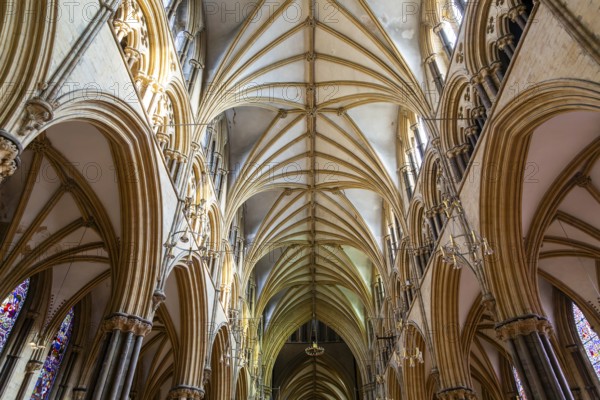 Vaulted nave ceiling roof of medieval Lincoln cathedral interior, city of Lincoln, Lincolnshire, England, UK
