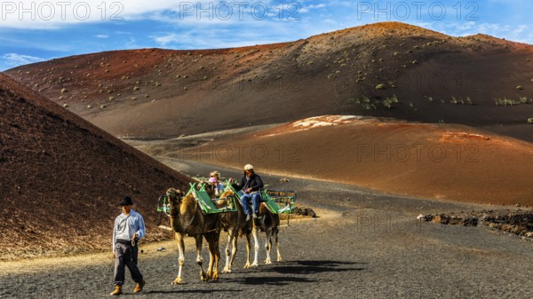 2016, Timanfaya National Park, Lanzarote, Fire Mountains of Timanfaya National Park, Montanas del Fuego, ESP, Spain, Canary Islands, Canary Islands, Atlantic Ocean, Lanzarote, biosphere reserve, volcano, volcanism, volcanic island, lava fields, island, camels, dromedary, camello, date taken, Europe