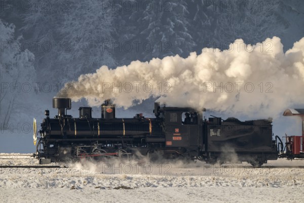 Zillertalbahn, steam locomotive with tender, New Year's Eve train, Zillertal, Tyrol, Austria, Europe