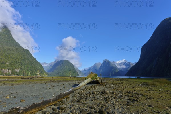Fascinating nature with mountains and fjord shores under a clear sky, summer, Milford Sound, Te Anau, Fiordland National Park, South Island, New Zealand, Oceania
