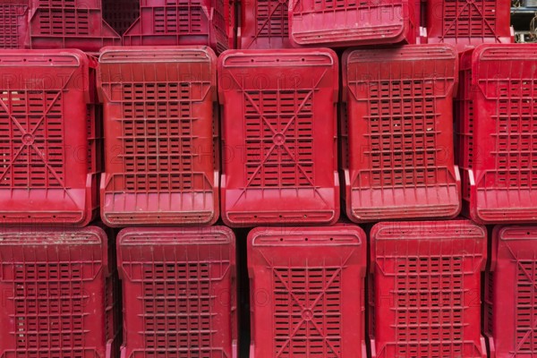 Rows of stacked red heavy duty plastic crates for transporting fruit and vegetables to processing plant, Sorrento, Campania region, Italy, Europe