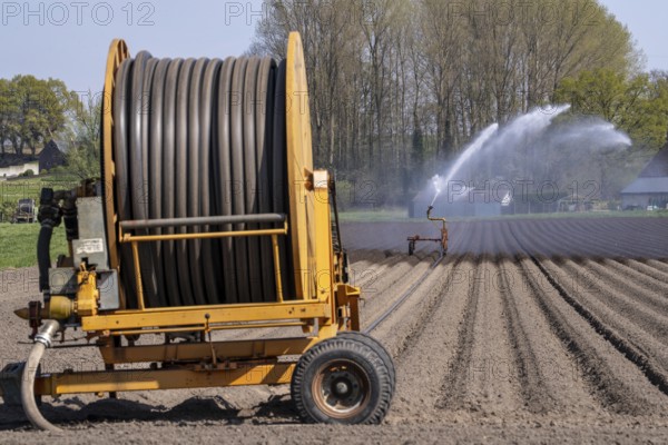 Artificial irrigation of a potato field in April, with a sprinkler system, long drought in spring makes this necessary, for the total of 7.5 hectares 3 full days are needed to get the necessary moisture for the freshly sown potato plants, south of Straelen, Lower Rhine, North Rhine-Westphalia, Germany, Europe