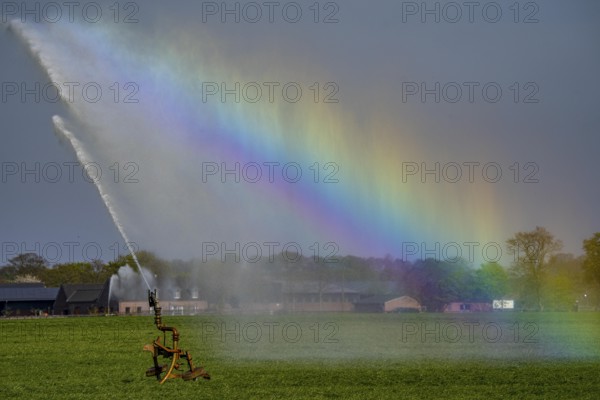 Artificial irrigation of a cereal field in April, with a sprinkler system, long dry spell in spring makes this necessary for the young plants to grow well, Kerken, Lower Rhine, North Rhine-Westphalia, Germany, Europe
