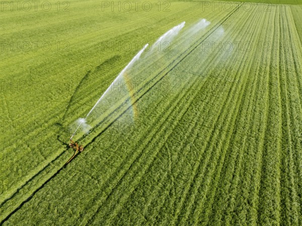 Artificial irrigation of a cereal field in April, with a sprinkler system, long dry spell in spring makes this necessary for the young plants to grow well, Kerken, Lower Rhine, North Rhine-Westphalia, Germany, Europe
