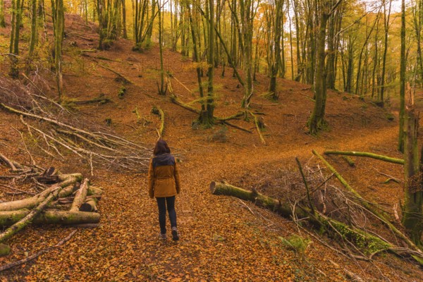 Lifestyle, a young brunette in a yellow jacket walking along the forest path in autumn. Artikutza Forest in San Sebastián, Gipuzkoa, Basque Country. Spain
