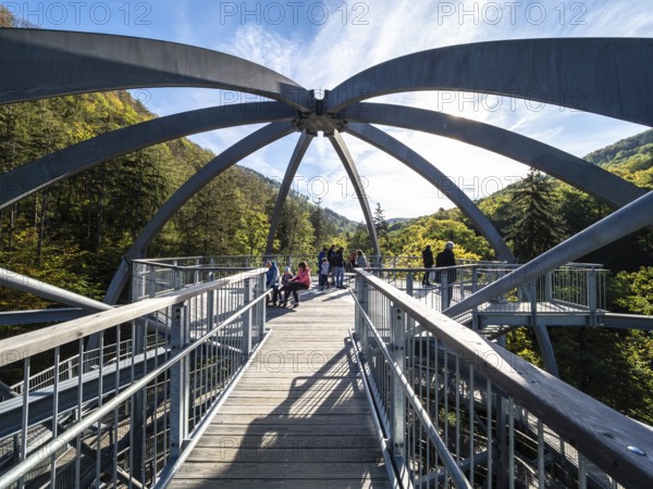 Baumwipfelpfad, Treetop walkway through a forest in autumn, Bad Harzburg, Harz mountain range, Lower Saxony, Germany, Europe