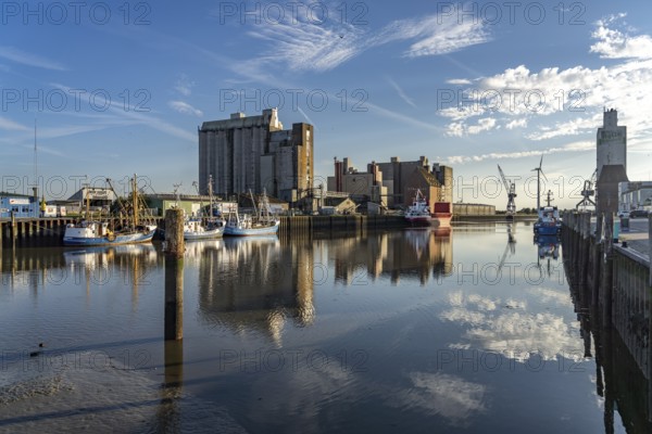 Cutter in the harbour in Husum, Nordfriesland district, Schleswig-Holstein, Germany, Europe