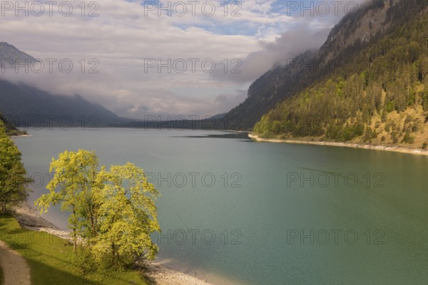 Early morning at the Sylvenstein reservoir, Reservoir in the Isarwinkel, municipality of Lenggries, built between 1954 and 1959 for flood protection in the Isar valley