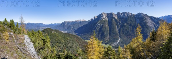 Autumnal mountain forest, yellow-coloured larches, ascent to the Große Arnspitze, view of mountain peaks of the Karwendel, near Scharnitz, Bavaria, Germany, Europe