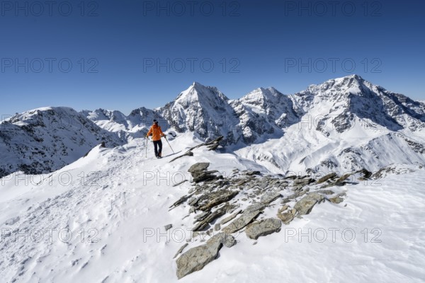 Ski tourers on foot, mountain panorama with snow-covered mountain landscape in winter, view of mountain peaks Königsspitze, Monte Zebru and Ortler, summit of Madritschspitze, Ortler Alps, Vinschgau Valley, Italy, Europe