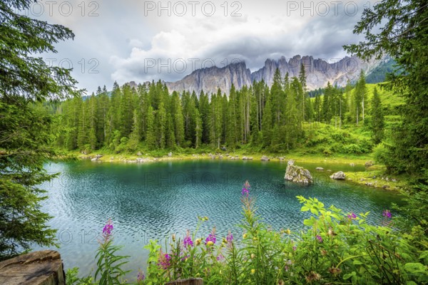 Stunning turquoise water of lake carezza reflecting latemar mountain range and surrounded by lush pine forest in dolomites, italy