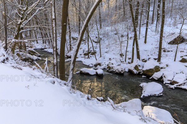Wesenitz in the Wesenitz Valley in Dürrröhrsdorf-Dittersbach, Saxony, Germany, Europe