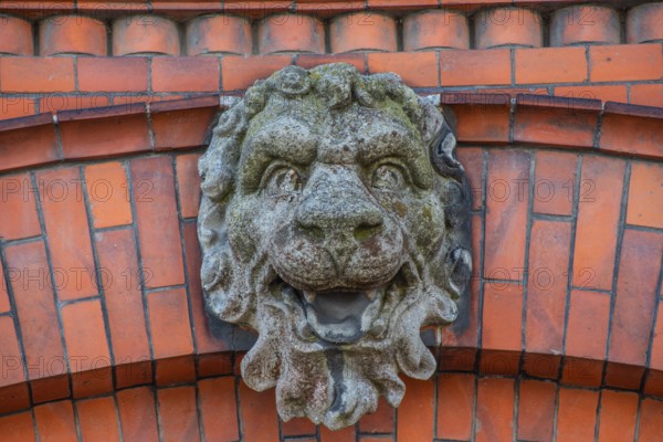 Lion head in concrete on decorative brick wall in Ystad, Skåne County, Sweden, Scandinavia, Europe