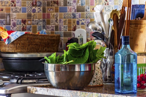 Real domestic scene of a kitchen and its varius utensils, Belo Horizonte, Minas Gerais, Brazil, South America