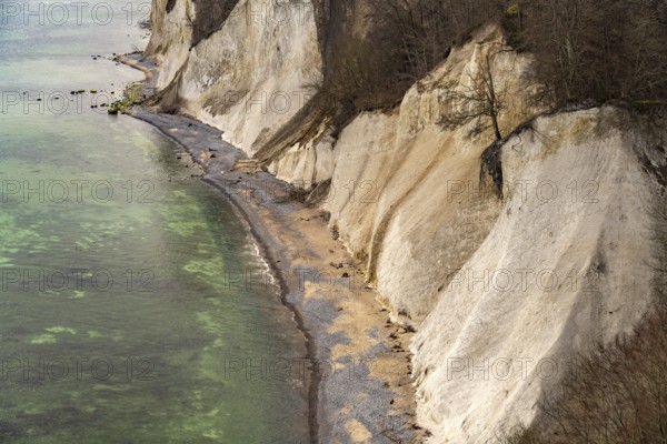 The famous chalk cliffs on the Baltic Sea coast in Jasmund National Park, Ruegen Island, Mecklenburg-Western Pomerania, Germany, Europe