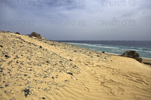 Playa Risco del Paso, Playa de Sotavento with sand dune, Pajara, Fuerteventura, Canary Islands, Spain, Europe