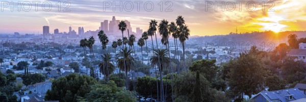 Los Angeles skyline with palm trees and downtown panorama at sunset in California in Los Angeles, USA, North America