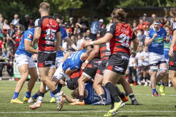 Heidelberg, 15.06.2024, Rugby 1st Bundesliga, 2023/24 season, final for the German championship: SC Frankfurt 1880 against SC Neuenheim