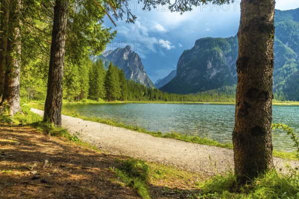 Wonderful alpine landscape showing lake dobbiaco with the dolomites in the background, in summer, italy