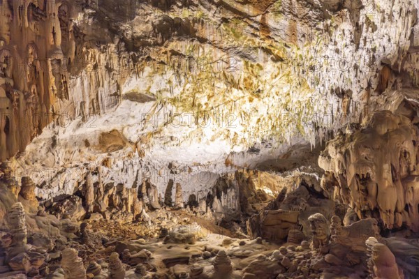 Breathtaking view of illuminated stalactites and stalagmites formations inside postojna cave, a famous tourist attraction in slovenia
