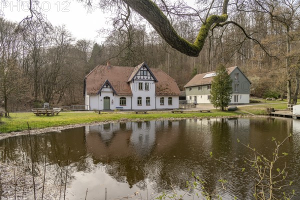 The Steinmühle Youth Forest Centre on Lake Grünower See in the Müritz National Park near Carpin, Mecklenburg-Western Pomerania, Germany, Europe