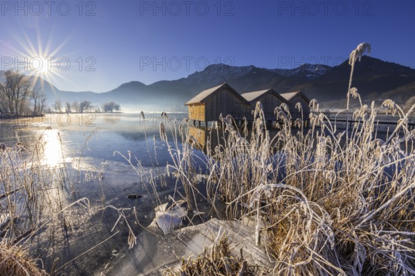 Boat huts, icy shore, lake, morning light, fog, snow, winter, mountains, sunbeams, backlight, Lake Kochel, Schlehdorf, behind Herzogstand, Heimgarten, Alpine foothills, Bavaria, Germany, Europe