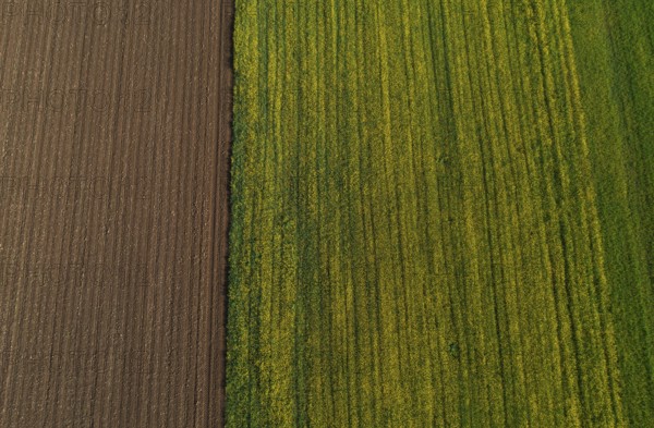 Drone view, green and ploughed fields, agricultural landscape, Innviertel, Upper Austria, Austria, Europe