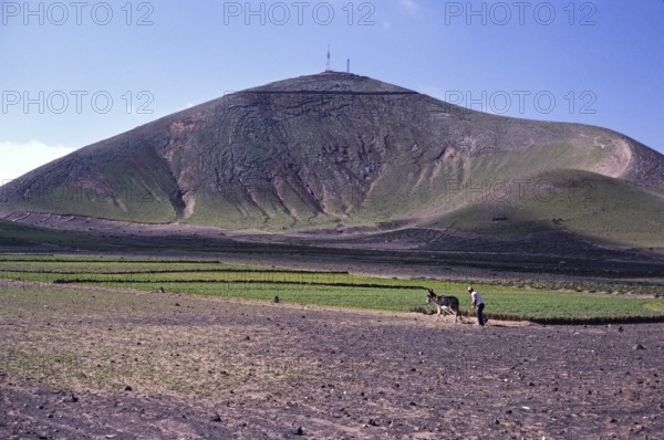 Mann pflügt Land mit einem Esel Subsistenzlandwirtschaft, Lanzarote, Kanarische Inseln, Spanien 1979