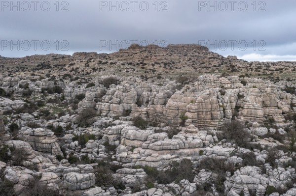 Bizarre limestone rock formations, El Torcal nature reserve, Torcal de Antequera, Malaga province, Andalusia, Spain, Europe