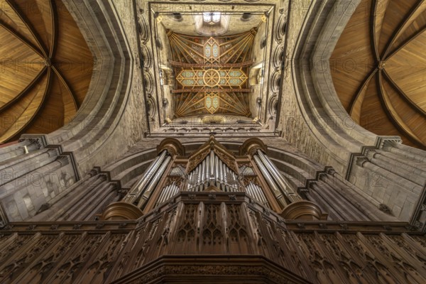 Organ and church ceiling of St Davids Cathedral, Wales, Great Britain