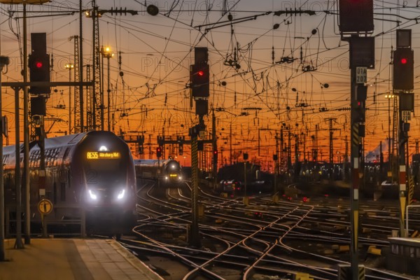 Track apron with trains, rails, points, pylons and signalling systems. Infrastructure at the main station. Sunset. Frankfurt am Main, Hesse, Germany, Europe