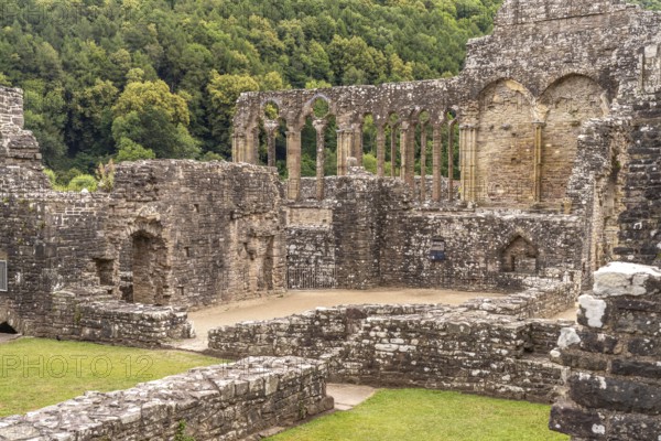 The ruins of Tintern Abbey in the Wye Valley, Tintern, Monmouth, Wales, Great Britain