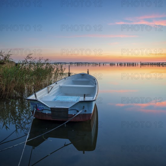 Sunset, rowing boat moored in the reeds, Großer Jasmunder Bodden, Rügen Island, Mecklenburg-Western Pomerania, Germany, Europe