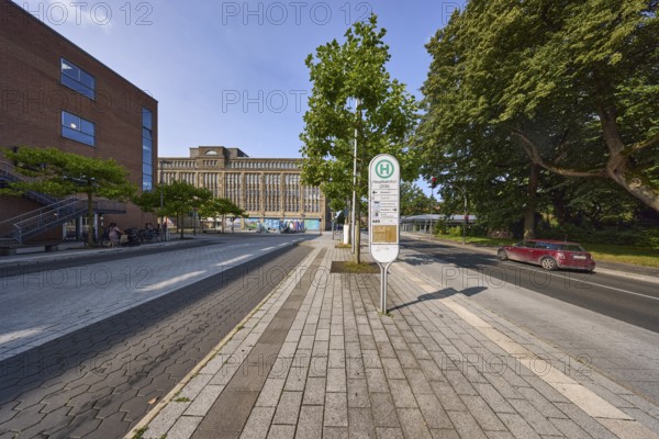 Central bus station ZOB with bus platform 2 and bus platform 3, general architecture, trees, Virchowstraße, Wilhelmshaven, independent city, Lower Saxony, Germany, Europe
