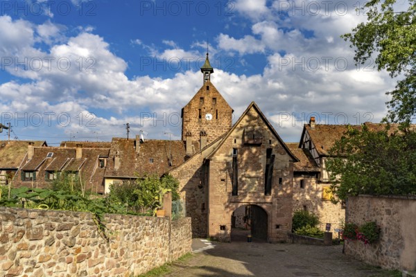 The upper gate La Porte Haute and Dolder Tower of Riquewihr, Alsace, France, Europe