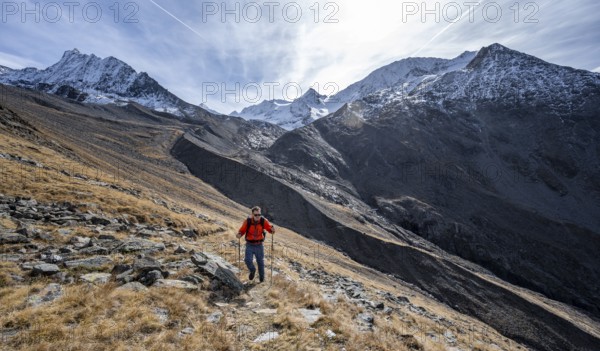 Mountaineers on a hiking trail in Niedertal, snow-covered mountain peaks of the Ötztal Alps with Finailspitze in the background, Ötztal Alps, Tyrol, Austria, Europe