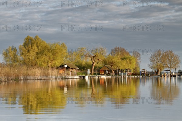 Approach to the Verchen water hiking rest area on the River Peene in the warm morning light, Peene Valley River Landscape nature park Park, Mecklenburg-Western Pomerania, Germany, Europe