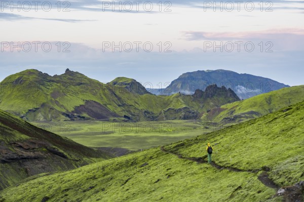 Hiker on a hiking trail, Moss-covered volcanic mountain landscape, Pakgil, Iceland, Europe