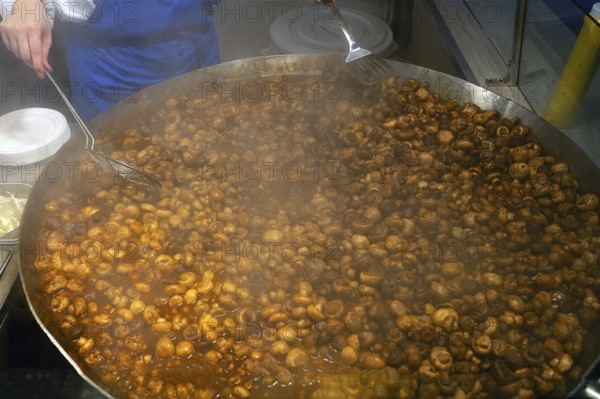 Large mushroom pan at a Christmas market, Lower Saxony, Germany, Europe