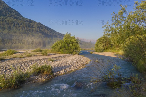 Isar valley nature conservancy area. The wild Isar river flows through its gravel bed past driftwood and entrained trees and bushes . Early morning