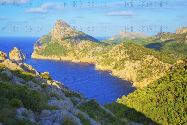 Formentor cape, Mallorca, Balearic Islands, Spain, Europe