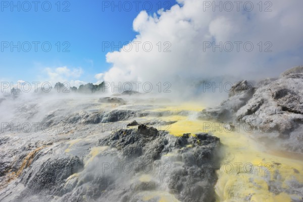 Prince of Wales and Pohutu geysers erupting, Te Puia Thermal Valley, Rotorua, Bay of Plenty, North Island, New Zealand, Oceania