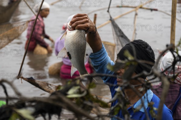 Villagers participate in a community fishing event on the occasion of the Bhogali Bihu festival at Panbari village in Assam on 13 January 2025. Magh Bihu, also known as Bhogali Bihu, is one of the most vibrant festivals celebrated in Assam and other parts of Northeast India