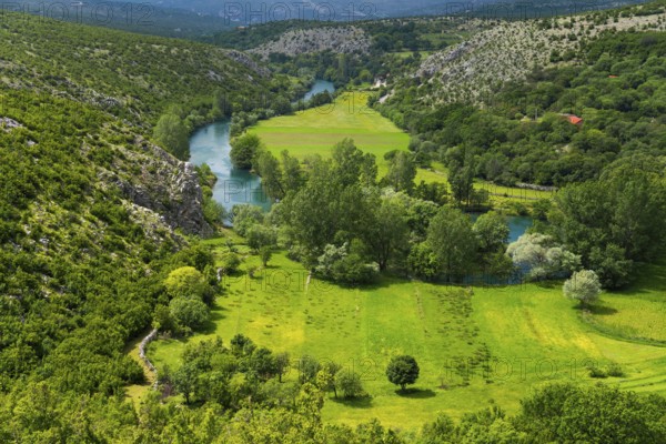 Green valley with river, surrounded by wooded hills and mountains, river Zrmanja near Bilišane Donje, Bilisane, Zadar, Croatia, Europe