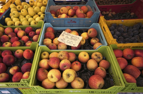 Apples, plums, fruit, display at weekly market market, Alaró, Calvià, Majorca, Balearic Islands, Balearic Islands, Spain, Europe