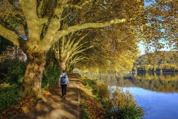 Essen, North Rhine-Westphalia, Germany - Golden autumn on Lake Baldeney